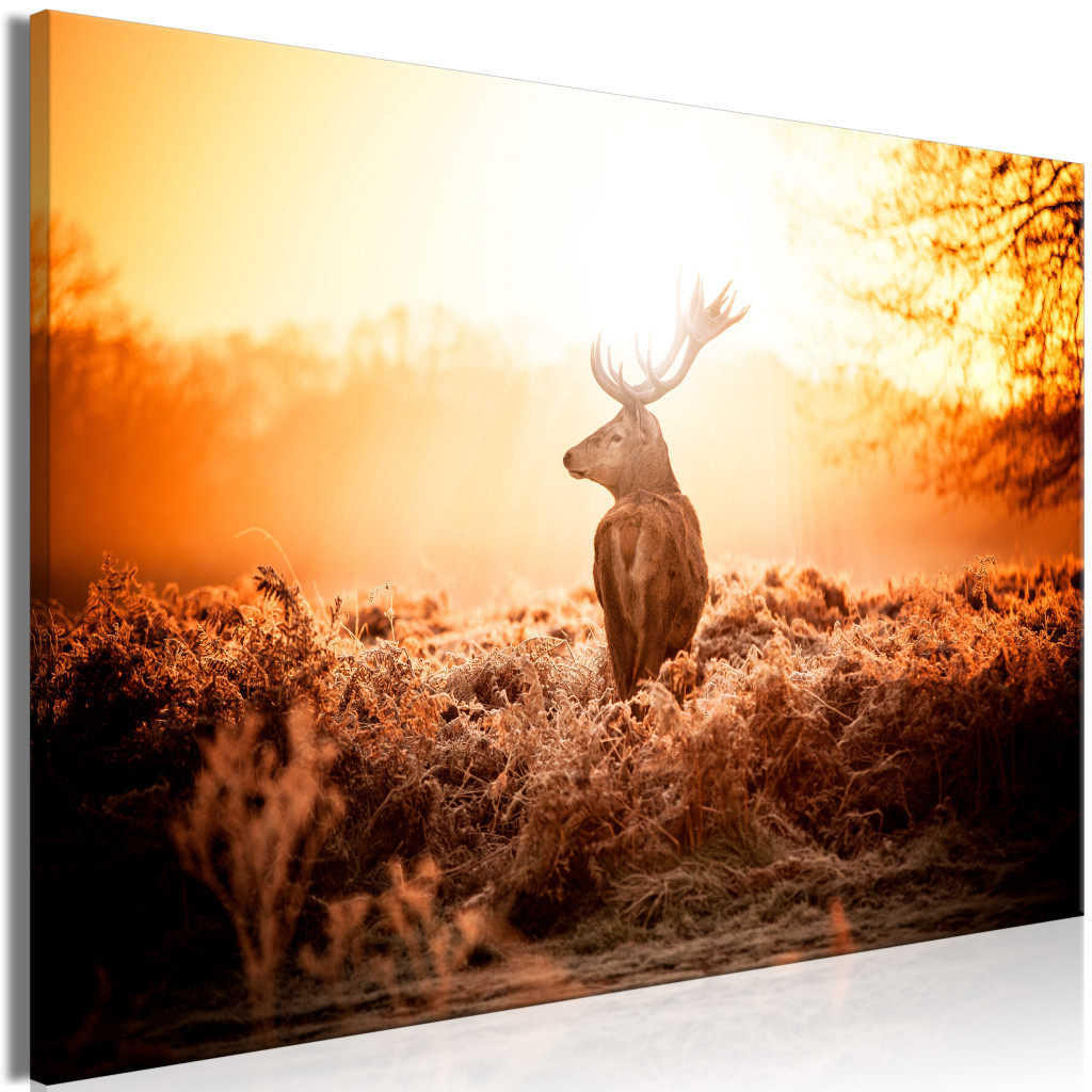 Schilderij Deer In The Sun [Large Format]