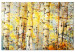 Canvas Print Summer Colors of the Forest (1 Part) Wide 138392