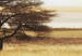 Tableau moderne Lonely tree on savannah 50592 additionalThumb 3