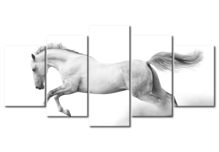 Wandbild Pferd - Leidenschaft und Freiheit 58592