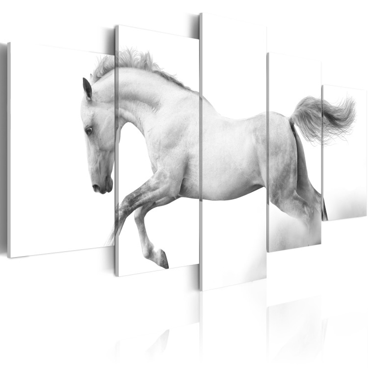 Wandbild Pferd - Leidenschaft und Freiheit 58592 additionalImage 2