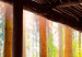 Fototapeta Taras ukryty w lesie - drewniany balkon z drzewami i rzeką w tle 98092 additionalThumb 3
