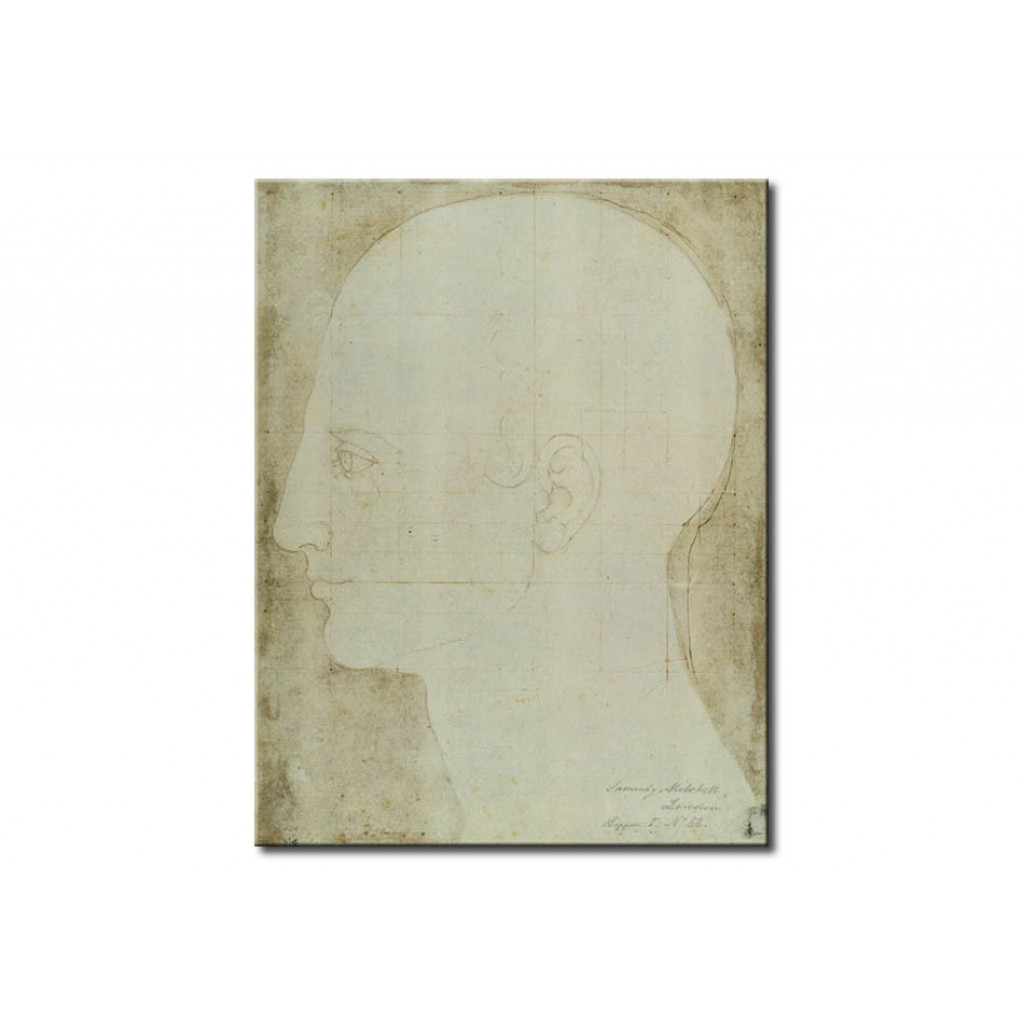 Cópia Impressa Do Quadro Head Of A Man In Profile