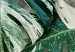 Fototapeta Zielone liście monstery - motyw roślinny na betonowym tle z cieniem 135503 additionalThumb 3