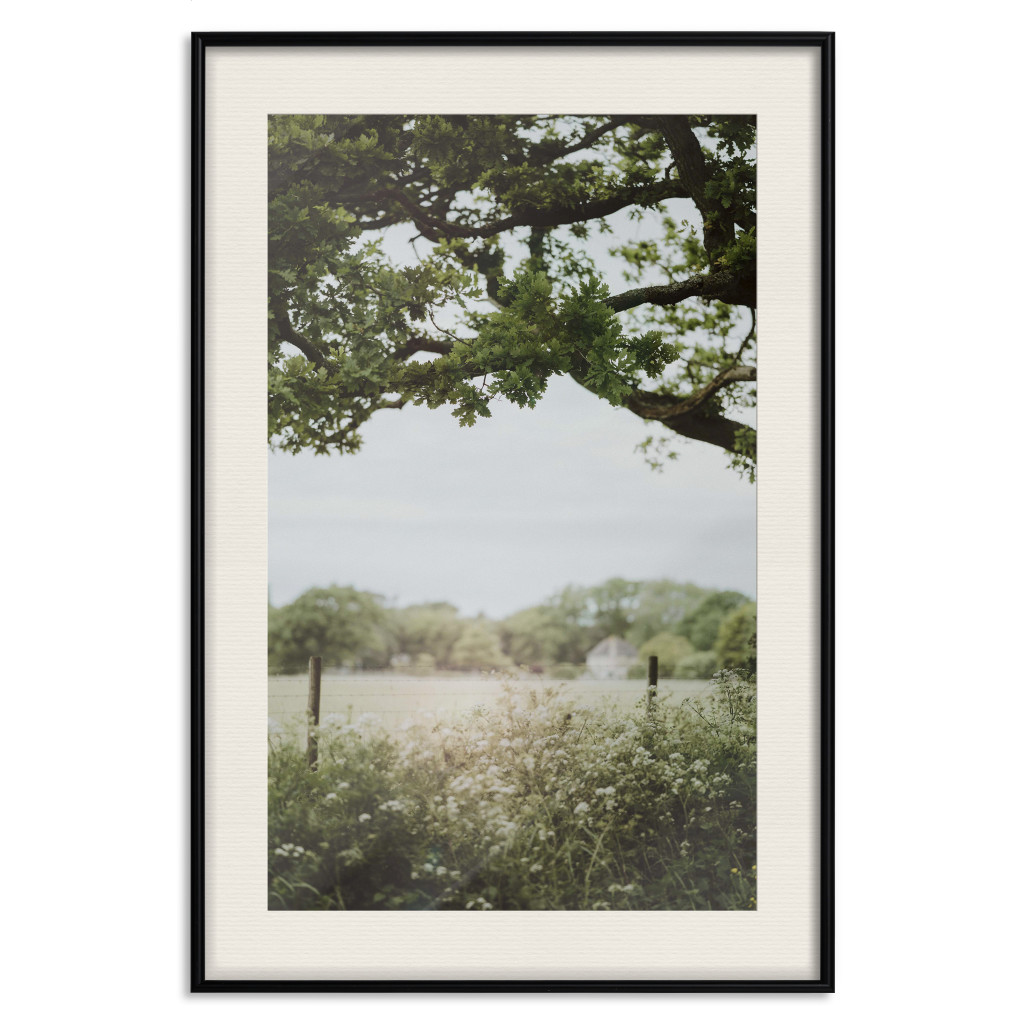 Poster Decorativo Sunny Day - Landscape Of A Green Meadow Away From The City