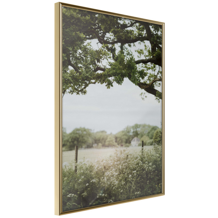 Wall Poster Sunny Day - Landscape of a Green Meadow Away From the City 150303 additionalImage 7