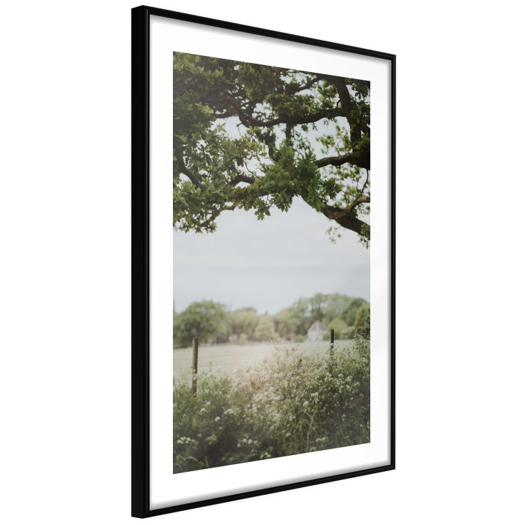 Wall Poster Sunny Day - Landscape of a Green Meadow Away From the City 150303 additionalImage 6