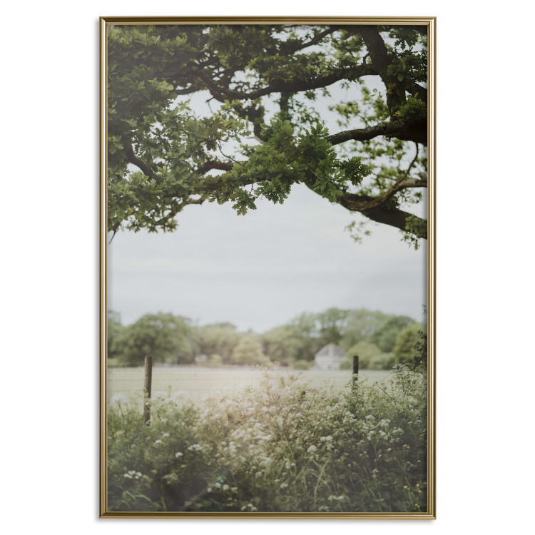 Wall Poster Sunny Day - Landscape of a Green Meadow Away From the City 150303 additionalImage 23