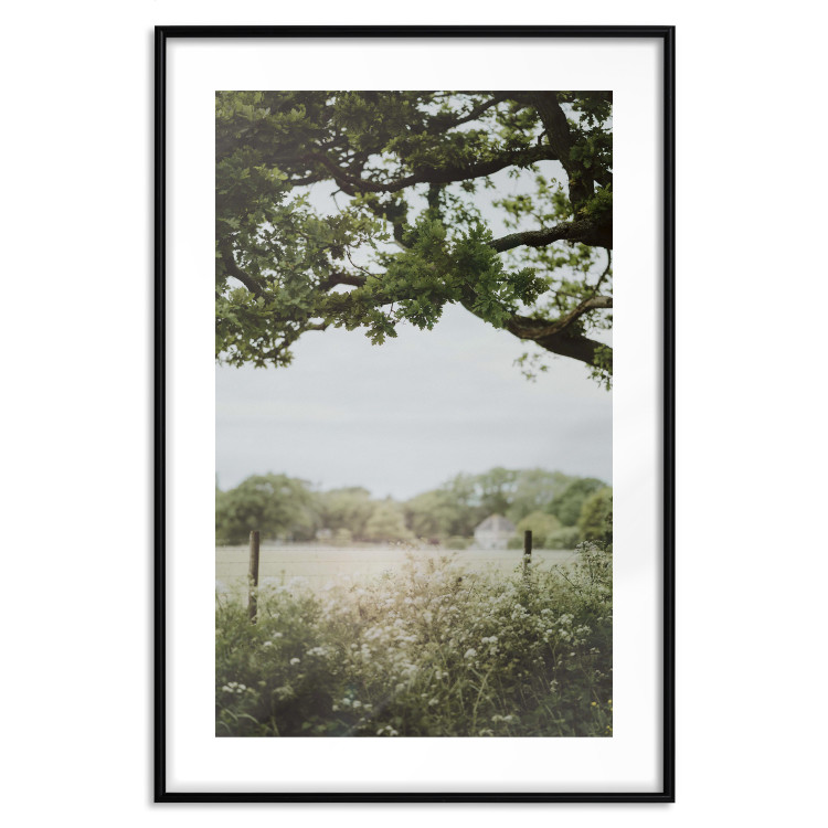Wall Poster Sunny Day - Landscape of a Green Meadow Away From the City 150303 additionalImage 24
