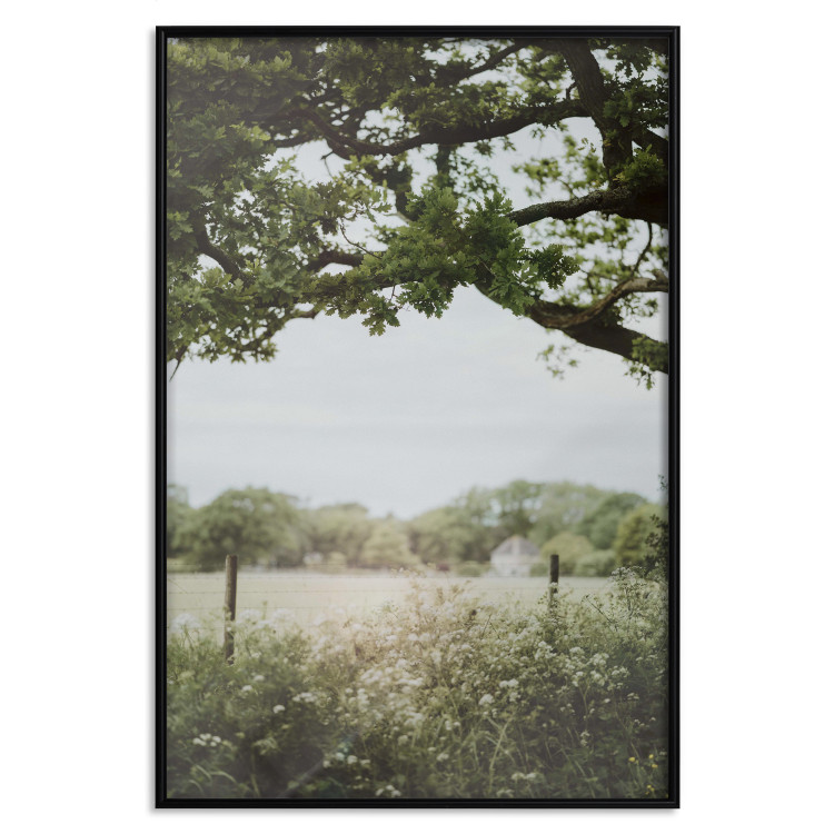 Wall Poster Sunny Day - Landscape of a Green Meadow Away From the City 150303 additionalImage 21