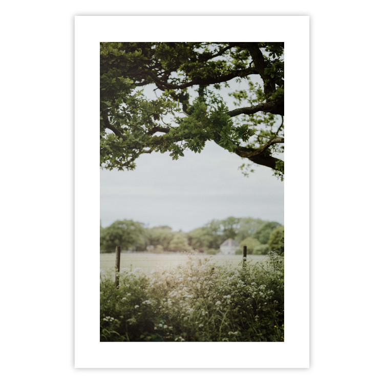 Wall Poster Sunny Day - Landscape of a Green Meadow Away From the City 150303 additionalImage 22