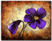 Quadro pintado Flor roxa  48803
