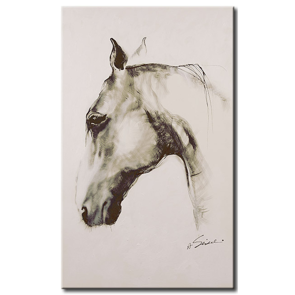 Schilderij  Paarden: Profiel Van Een Paard