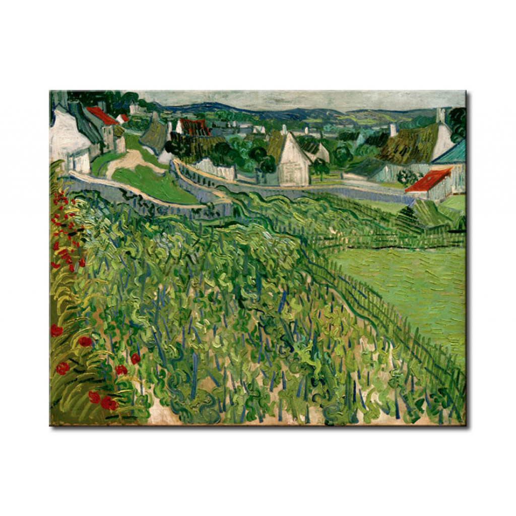 Schilderij  Vincent Van Gogh: Vineyards At Auvers