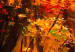 Leinwandbild Autumn Alley 88703 additionalThumb 5