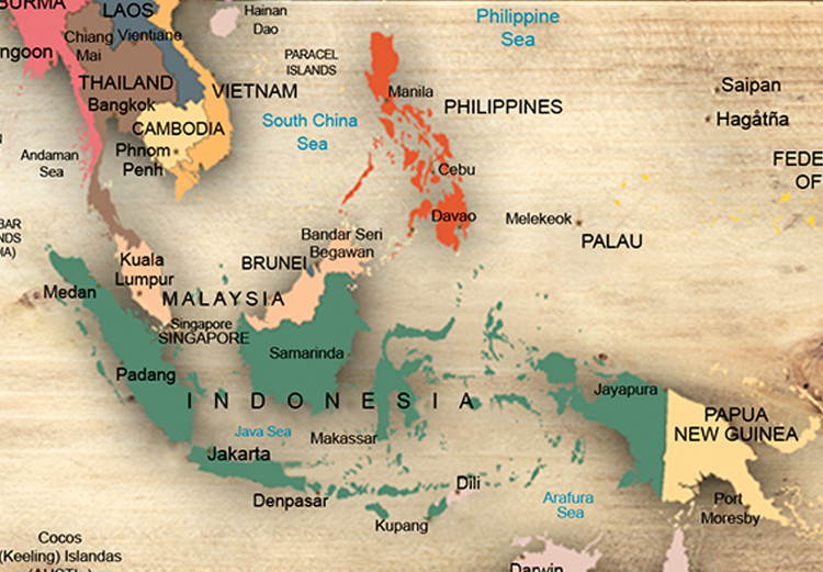 Ozdobna tablica korkowa Mapa świata: drewniane oceany [Mapa korkowa] 106713 additionalImage 4
