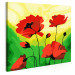 Paint by number Poppies  107113 additionalThumb 5