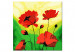Paint by number Poppies  107113 additionalThumb 6