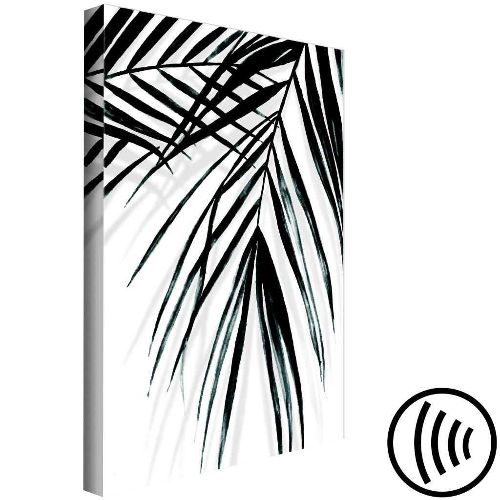Obraz Relaks Pod Palmą - Liście Tropikalnej Rośliny W Czarno-białym Minimalistycznym Stylu