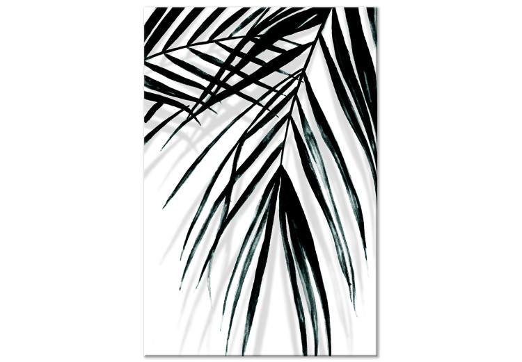 Obraz Relaks pod palmą - liście tropikalnej rośliny w czarno-białym minimalistycznym stylu 119013