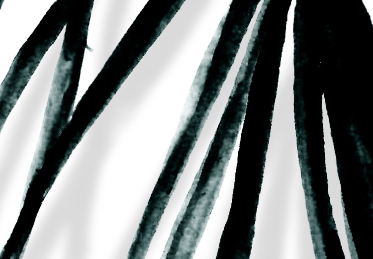 Obraz Relaks pod palmą - liście tropikalnej rośliny w czarno-białym minimalistycznym stylu 119013 additionalImage 4