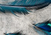 Fotomural a medida En el viento - plumas azules en fondo de cemento 136313 additionalThumb 4