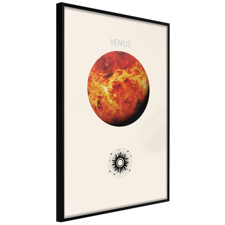Wall Poster Shining Venus - The Brightest Planet in the Solar System 146313 additionalImage 3