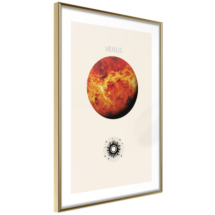 Wall Poster Shining Venus - The Brightest Planet in the Solar System 146313 additionalImage 8