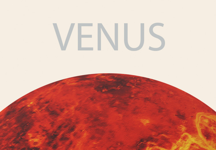 Wall Poster Shining Venus - The Brightest Planet in the Solar System 146313 additionalImage 2