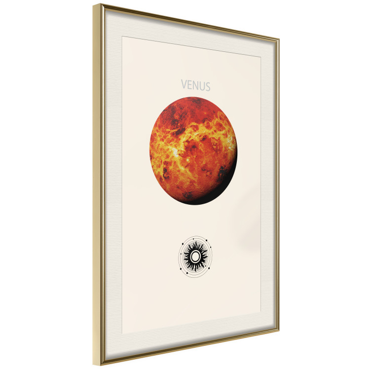 Wall Poster Shining Venus - The Brightest Planet in the Solar System 146313 additionalImage 4