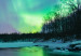 Canvas Art Print Aurora - Light Effects in the Midnight Night Sky 147713 additionalThumb 4