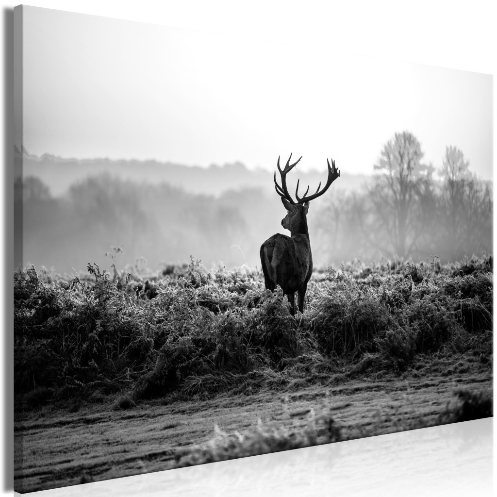 Deer In The Wild [Large Format]