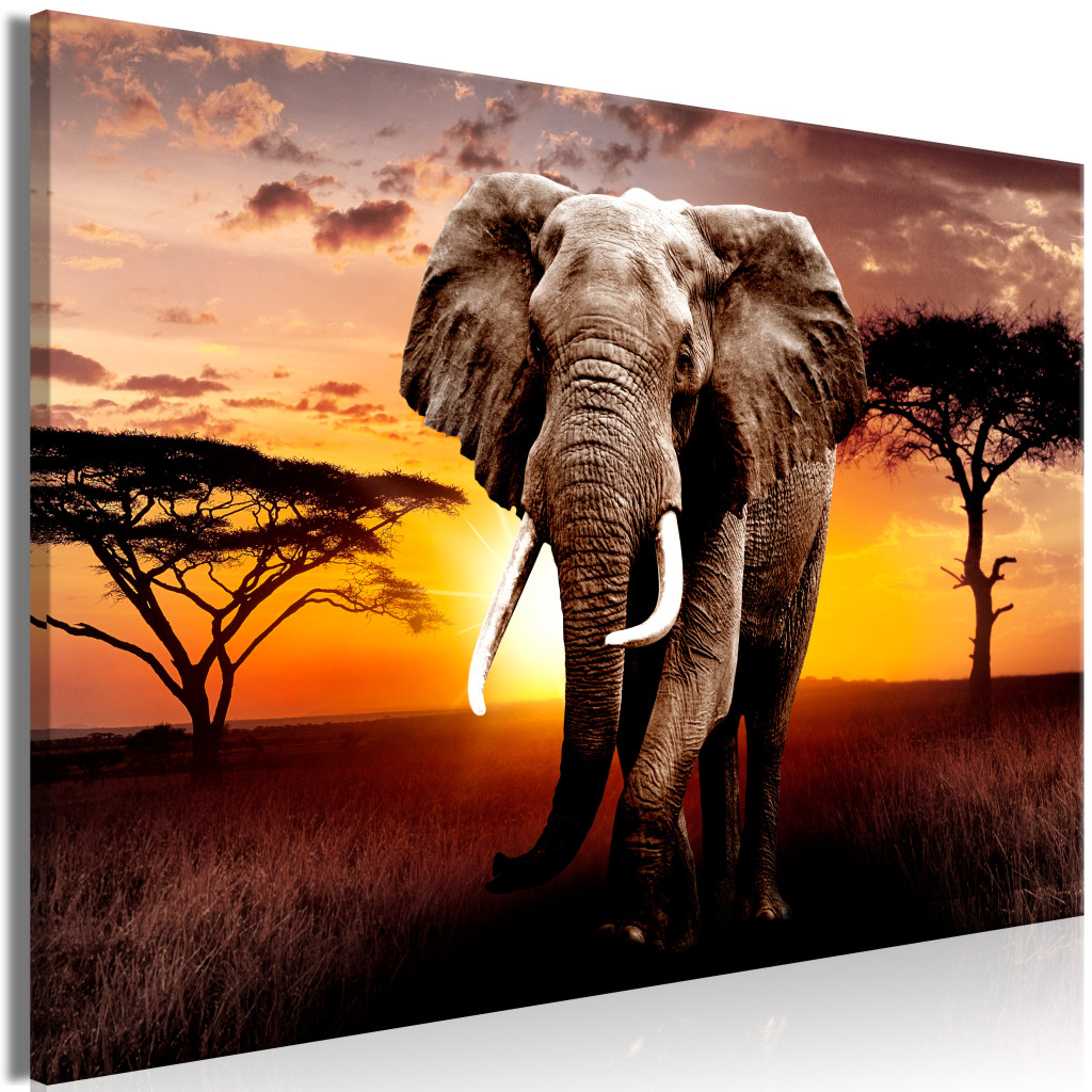 Schilderij Sunset On The Savanna [Large Format]