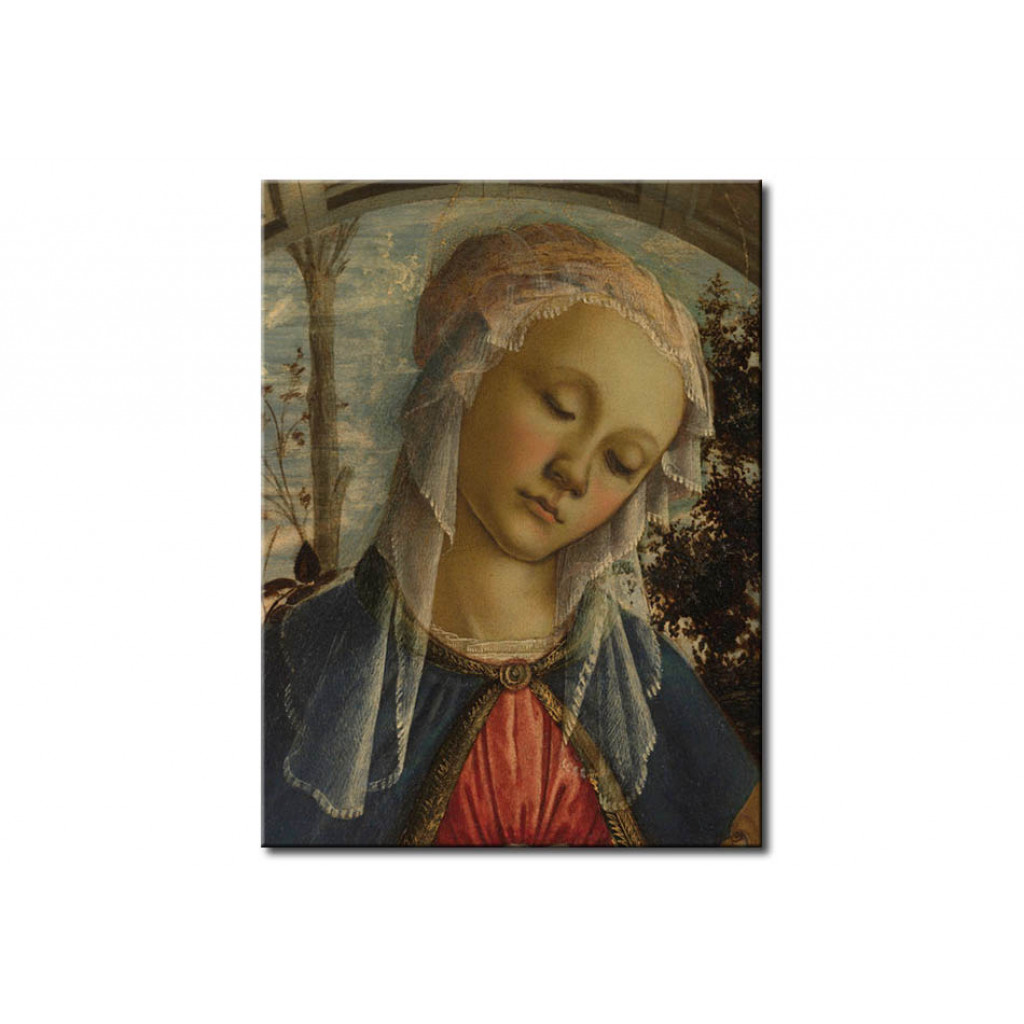 Schilderij  Sandro Botticelli: Madonna Del Roseto