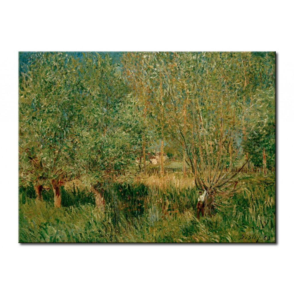 Schilderij  Alfred Sisley: Saules Au Bord De L'Orvanne