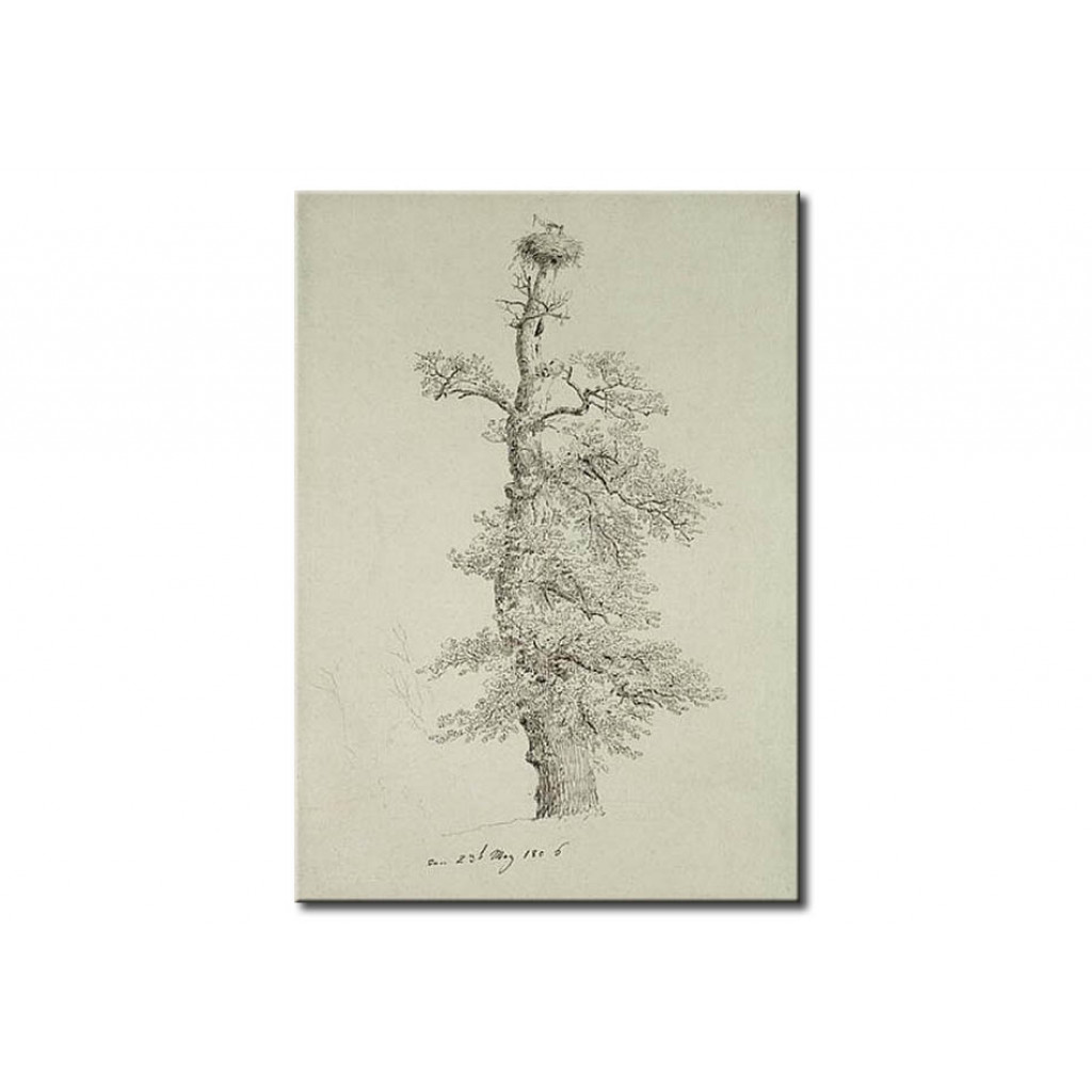 Schilderij  Caspar David Friedrich: Ancient Oak Tree With A Stork's Nest