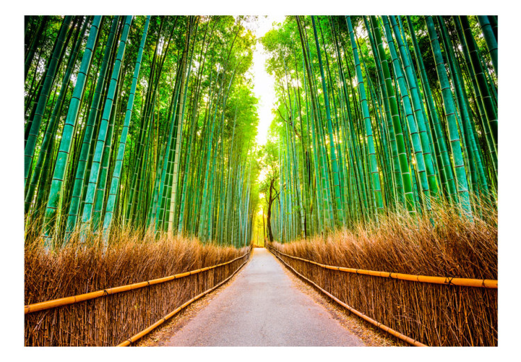 Carta da parati moderna Bamboo Forest 64513 additionalImage 1