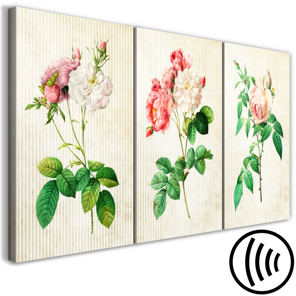 Schilderij  Bloemen: Floral Trio (Collection)