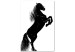 Canvas Black Horse (1 Part) Vertical 118823