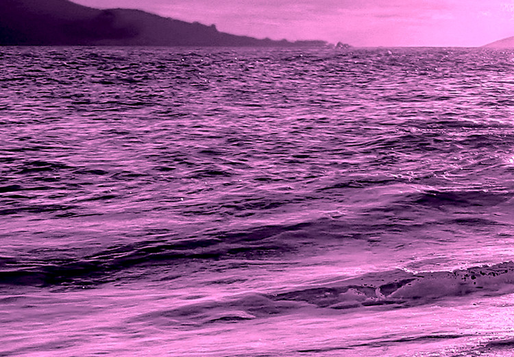 Cuadro Enchanted Ocean (1 Part) Wide Violet 125023 additionalImage 4