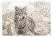 Carta da parati Predatore della foresta - una composizione con foglie di lupo e felce 138623 additionalThumb 1