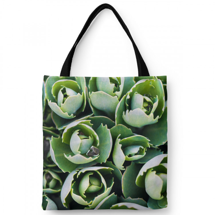Shoppingväska Shy succulents - a floral composition with rich detailing 147423