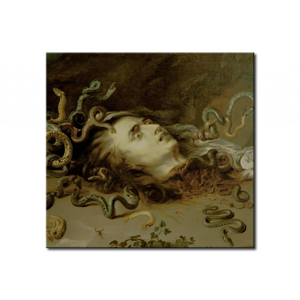 Schilderij  Peter Paul Rubens: The Head Of Medusa