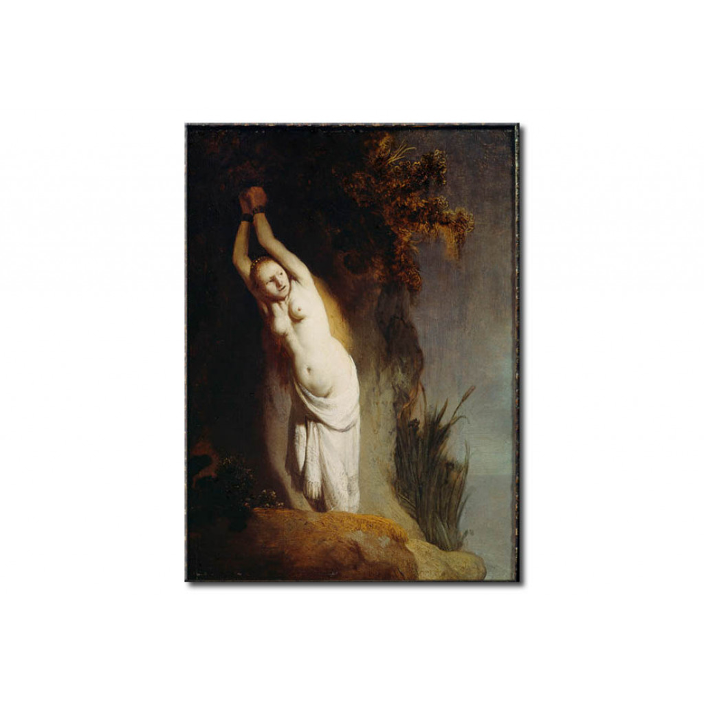 Schilderij  Rembrandt: Andromeda Chained To The Rock
