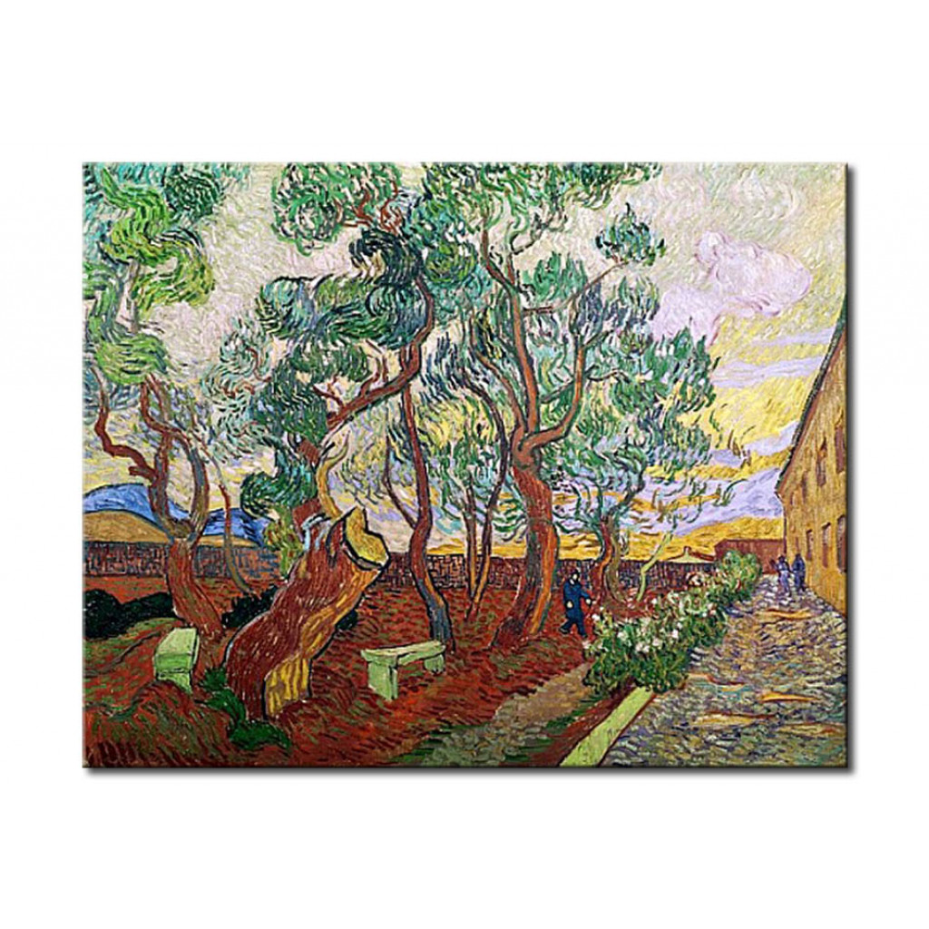 Schilderij  Vincent Van Gogh: The Garden Of St. Paul's Hospital At St. Remy