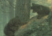 Reprodukcja obrazu Poranek w sosnowym lesie 53023 additionalThumb 2