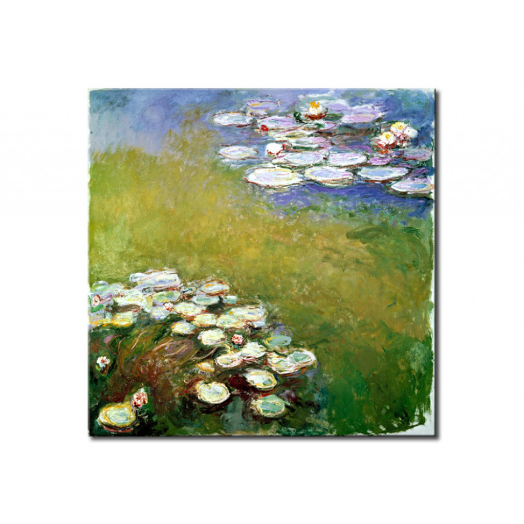 Schilderij  Claude Monet: Water Lilies