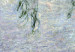Reprodukcja obrazu Nenufary (lilie wodne): dwie wierzby płaczące 54823 additionalThumb 2