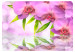 Photo Wallpaper Orchids in lilac colour 60223 additionalThumb 1