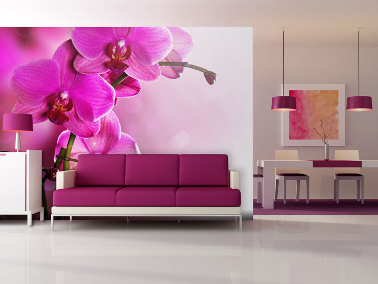 Carta da parati Orchidee Rosa - motivo floreale fresco su delicato sfondo 60623